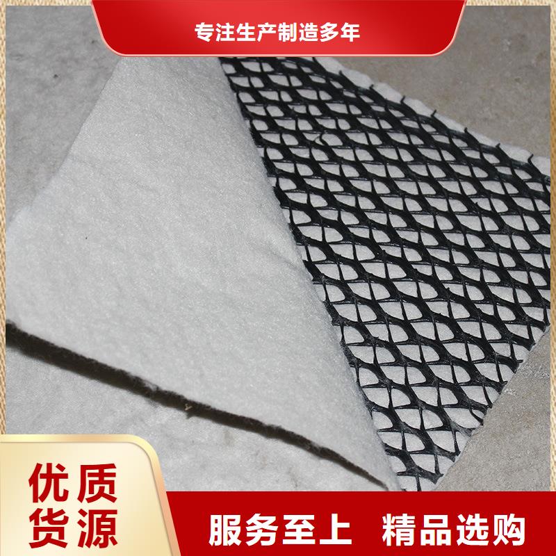 塑料排水网_三维土工排水板_排水网_三维排水网_三维复合排水网