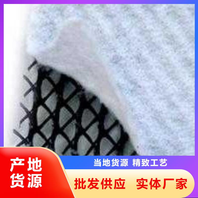 塑料排水网_三维土工排水板_排水网_三维排水网_三维复合排水网