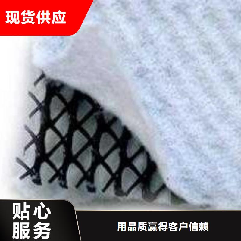三维复合排水网_PP焊接土工格栅规格齐全实力厂家