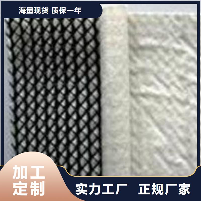 三维复合排水网发货快-生产基地】