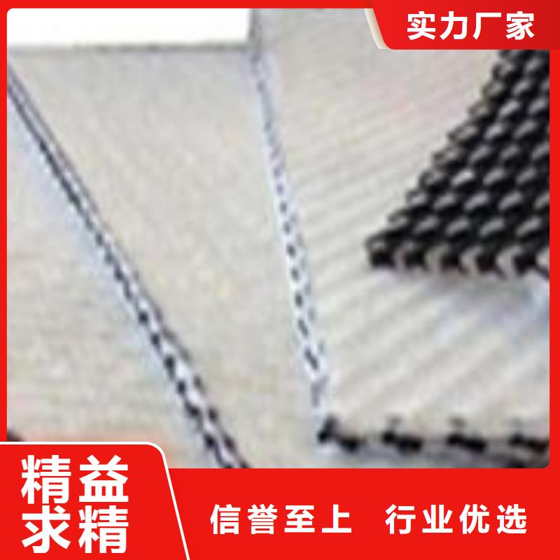 排水网_三维排水网_复合土工排水网价格_三维复合排水网