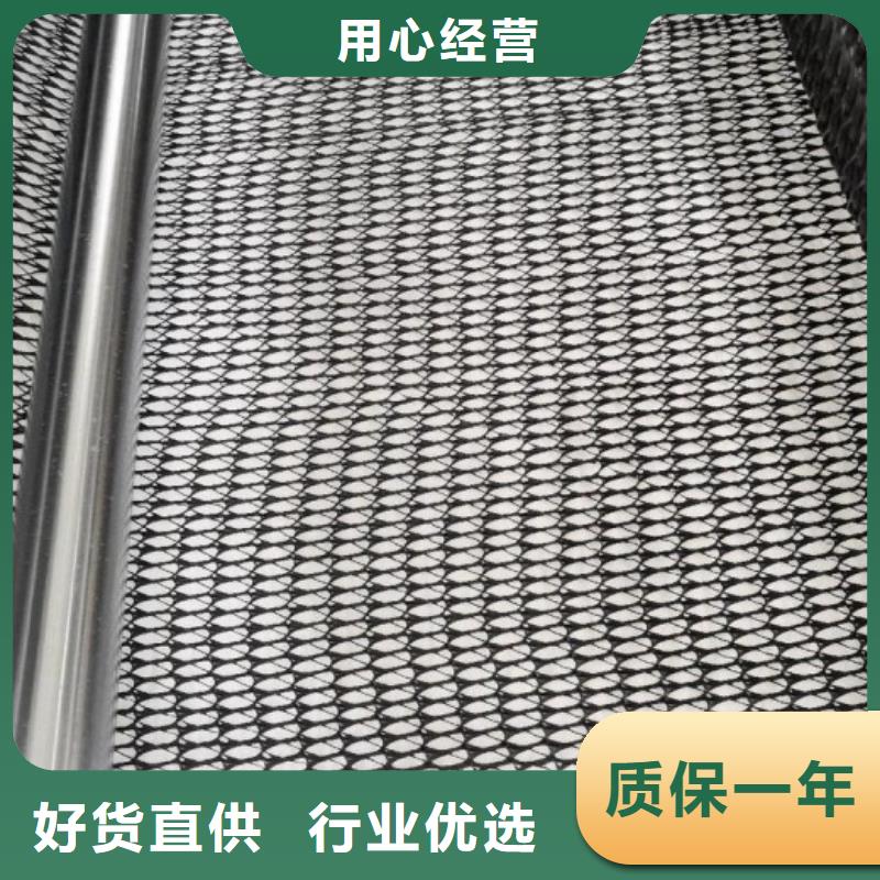 塑料排水网_三维土工排水板_排水网_三维排水网_三维复合排水网