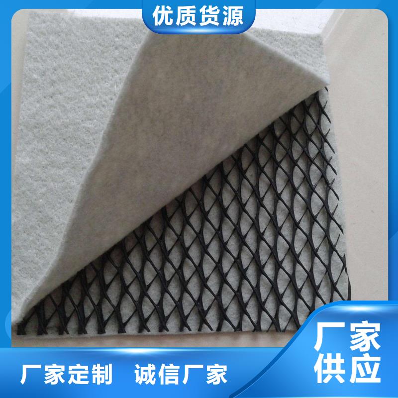 三维复合排水网型号齐全-发现货-生产厂家】
