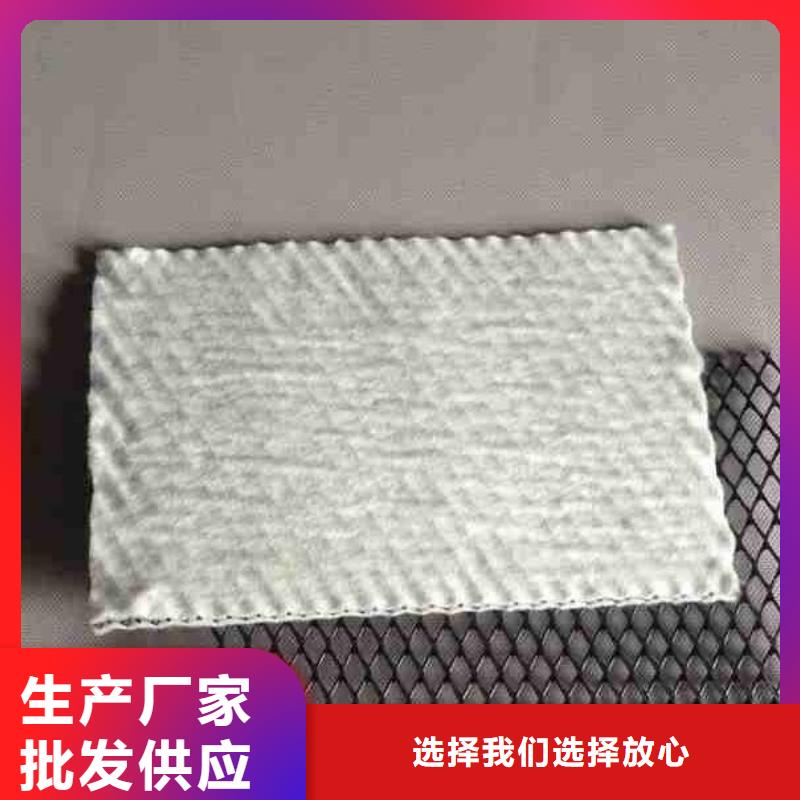 复合排水网、三维复合排水网、排水网格、排水土工格栅厂家