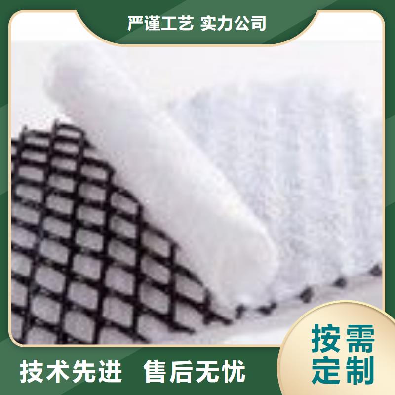复合排水网、三维复合排水网、排水网格、排水土工格栅厂家