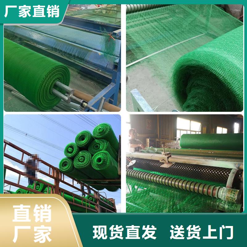 抗老化三维植被网多少钱一平方？