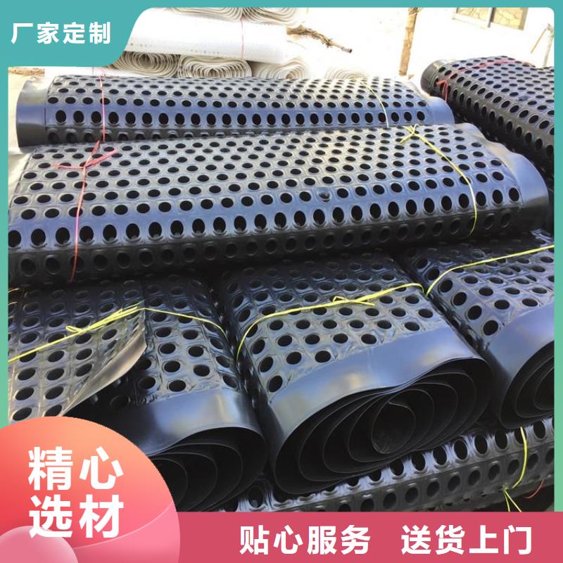 塑料排水板土工格栅源厂直销