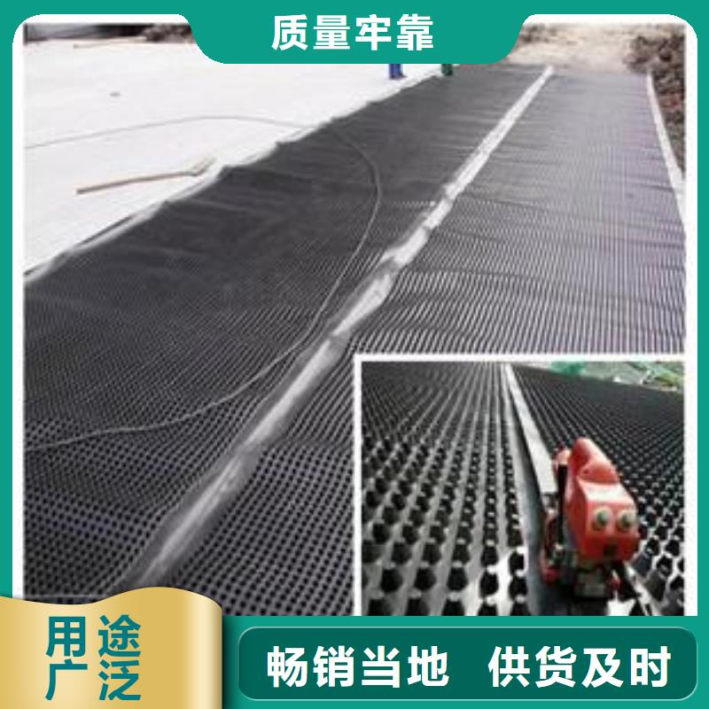 塑料排水板涤纶土工格栅厂家直销省心省钱