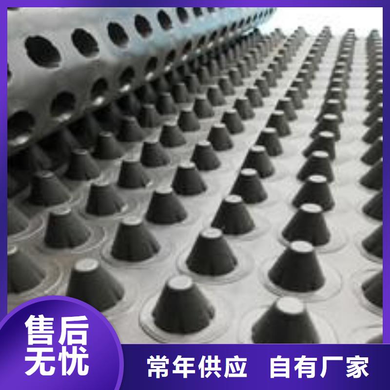 塑料排水板护坡土工网品质值得信赖
