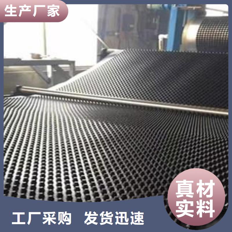 塑料排水板塑料土工格栅规格齐全实力厂家