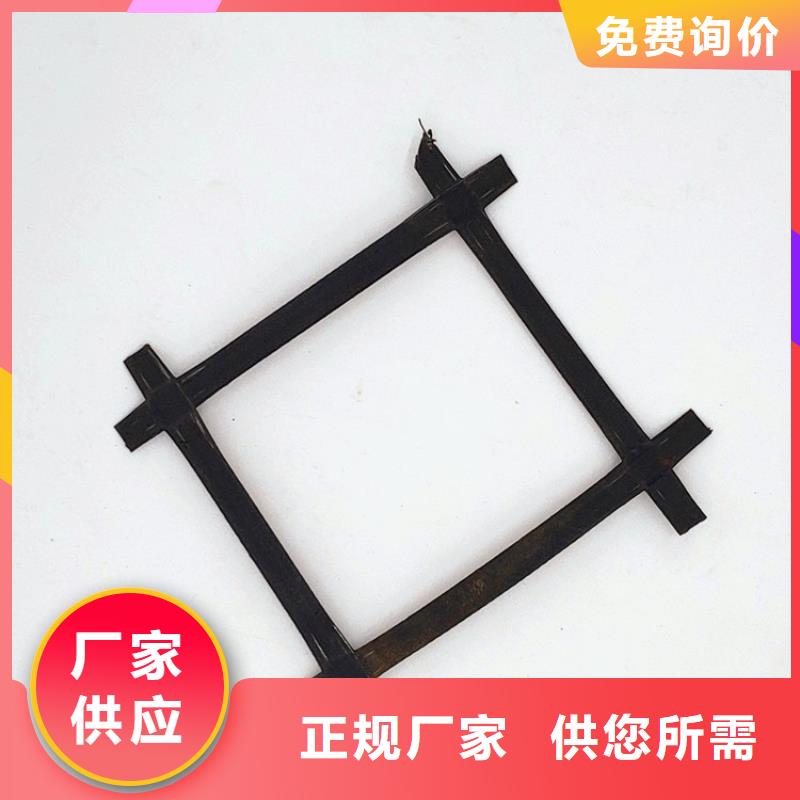双向土工格栅凸结点钢塑格栅批量供应