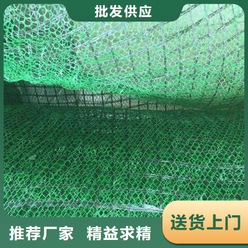 三维植被网生产厂家