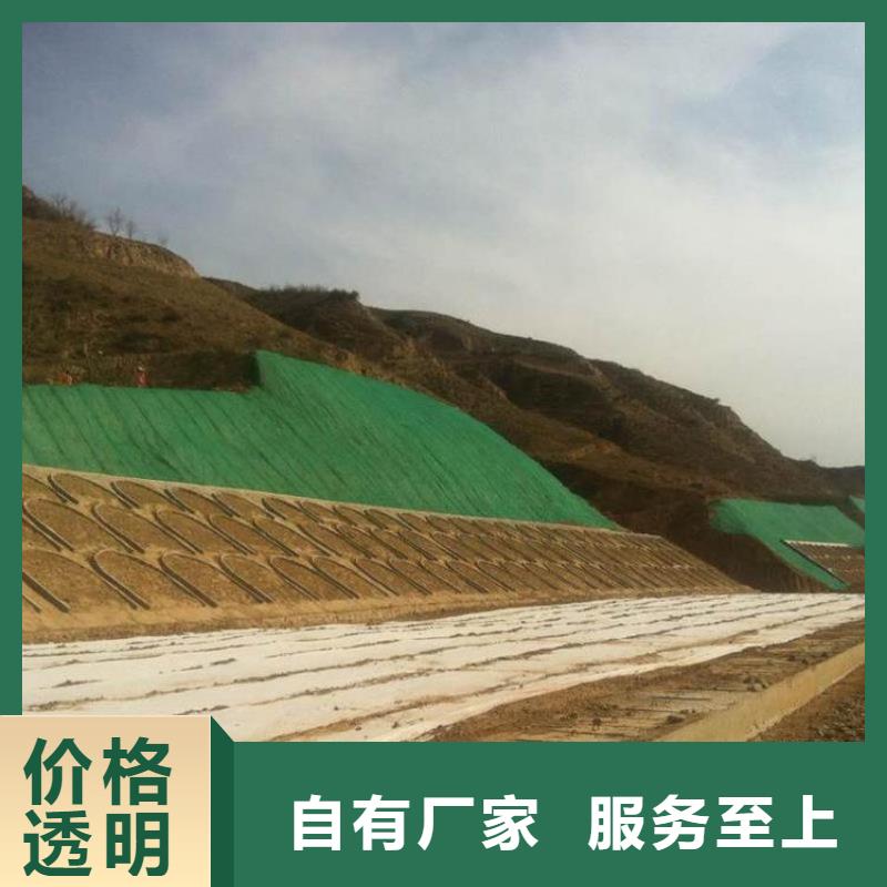 em2三维植被网生产厂家