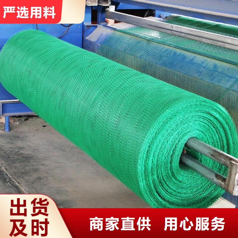 三维土工网垫厂家土工网垫价格生产基地