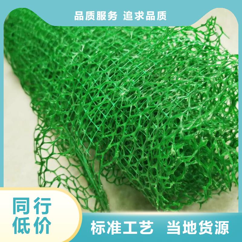 三维植被网厂家三维植被网垫价格生产基地