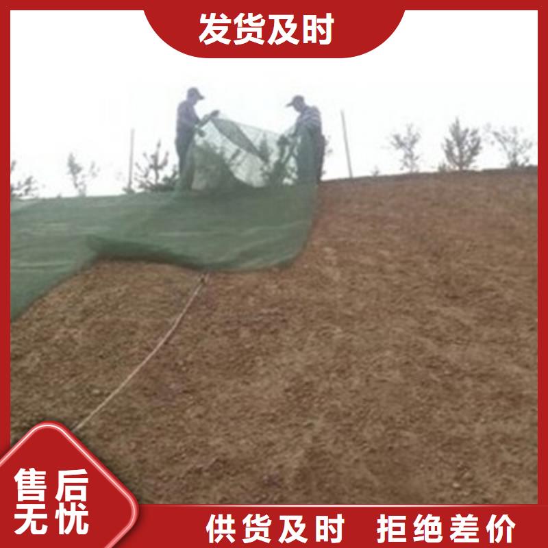 土工网生产厂家