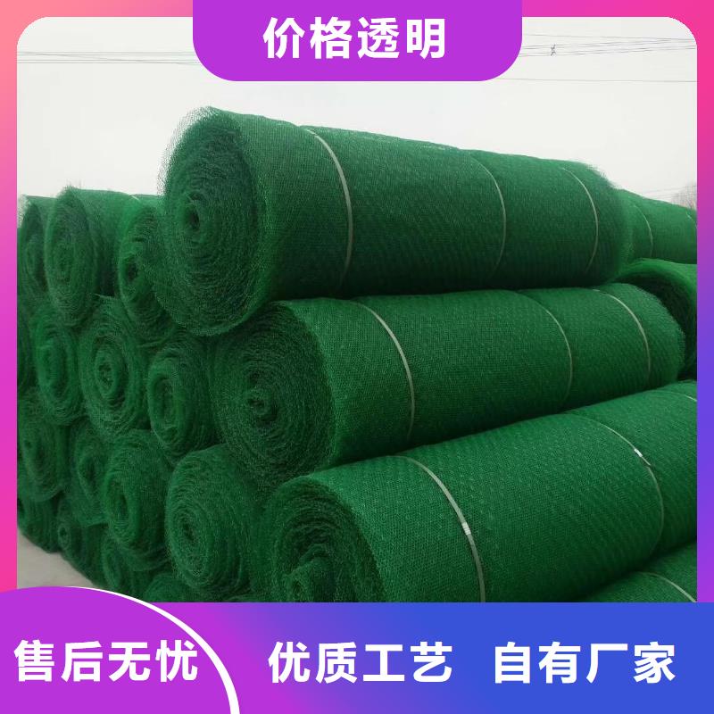 三维植草网