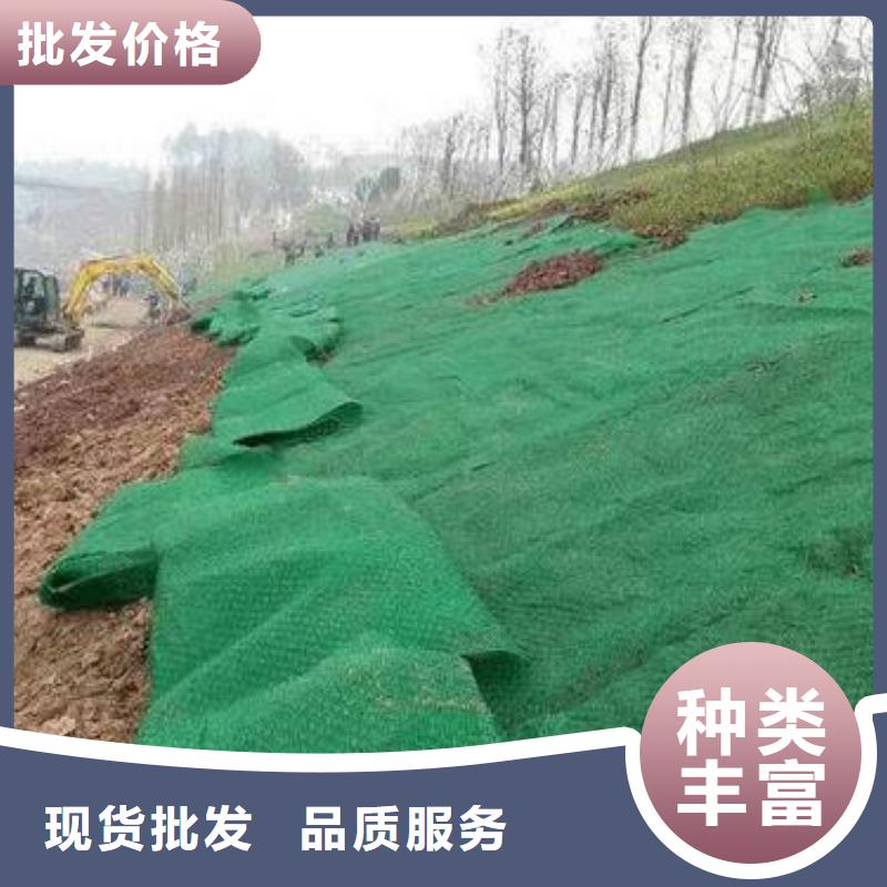 三维植草网