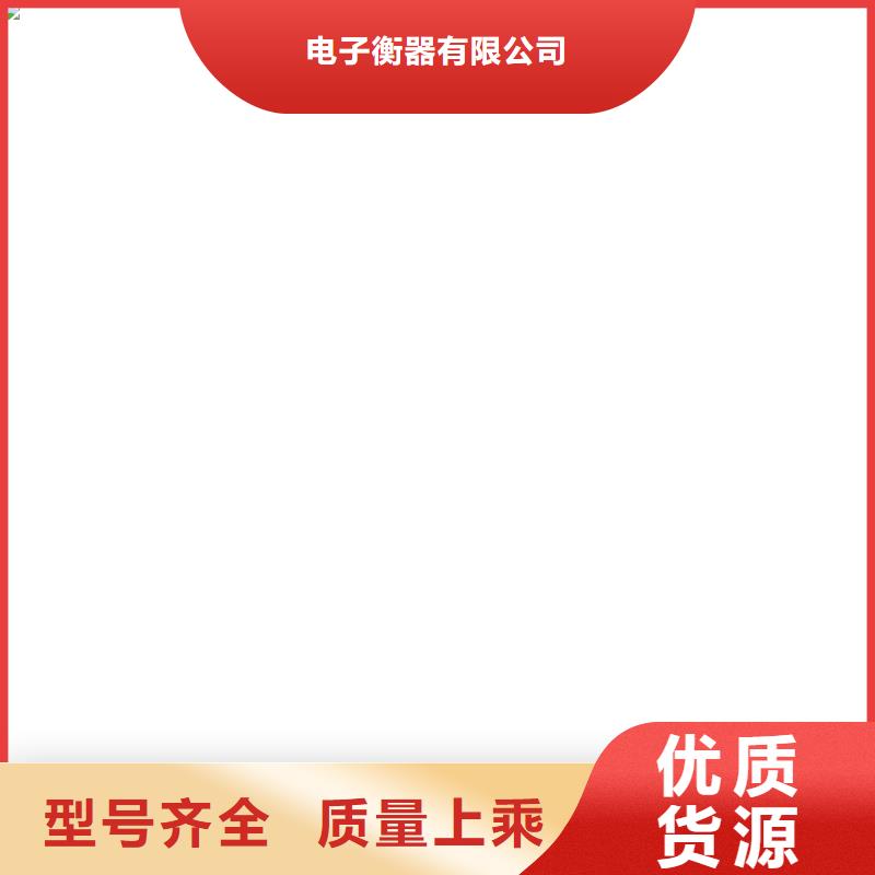 泌阳县汽车衡