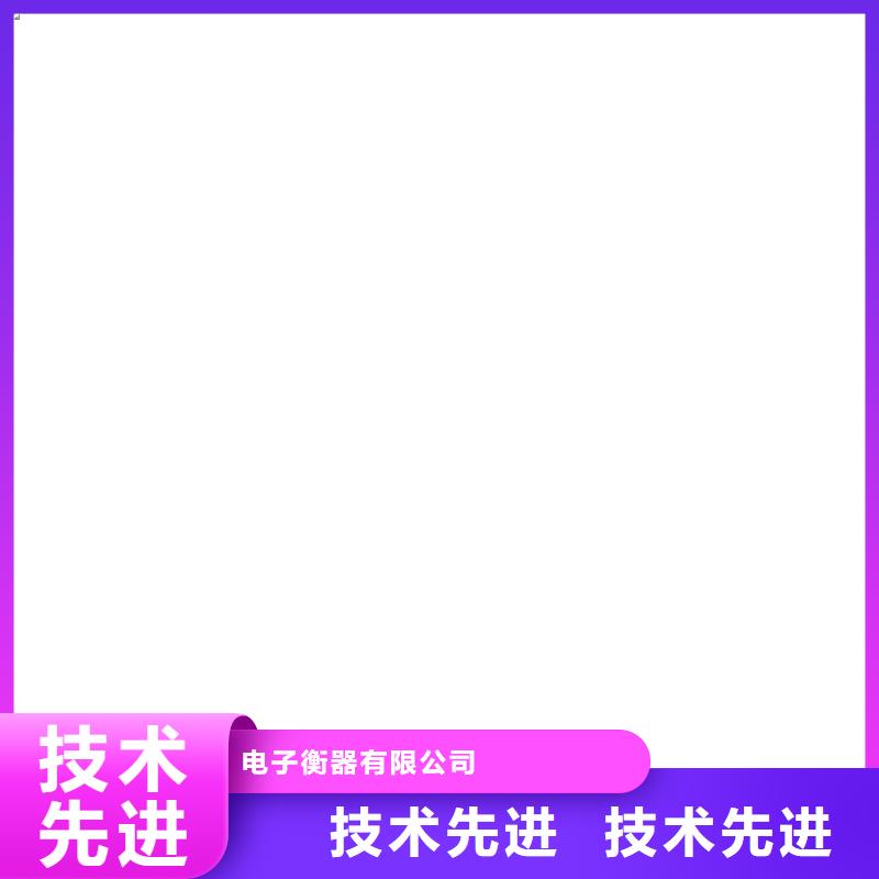 电子皮带秤服务好