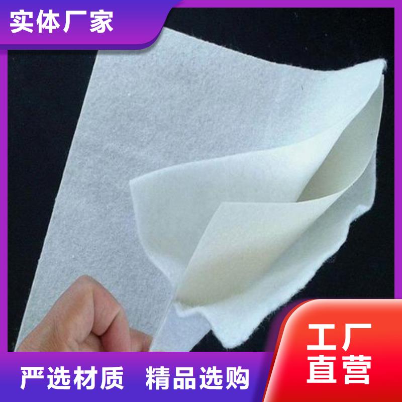 糙面土工膜价格