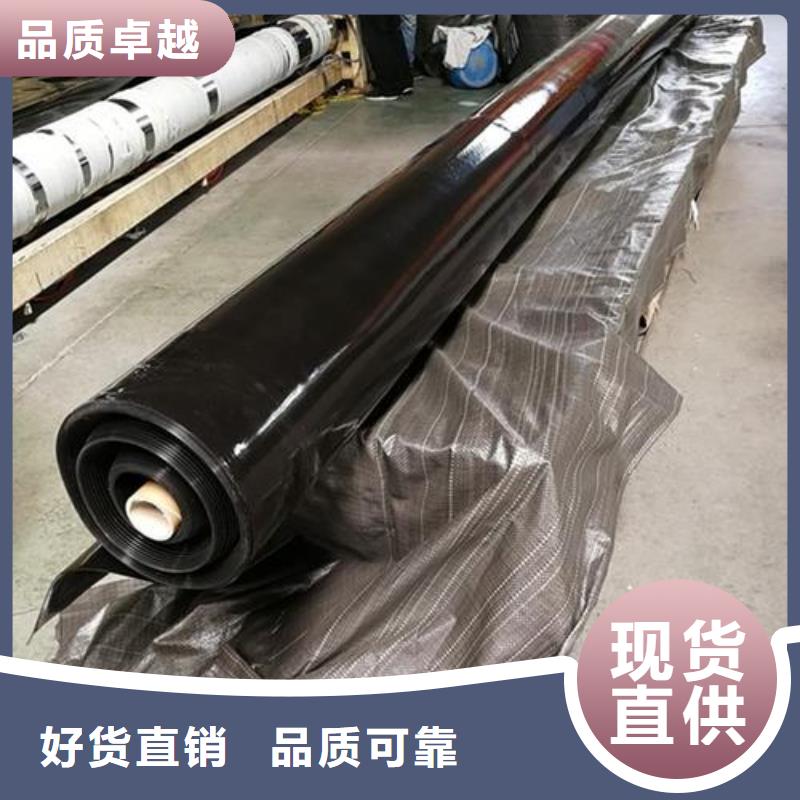 【土工膜】钢塑土工格栅匠心打造