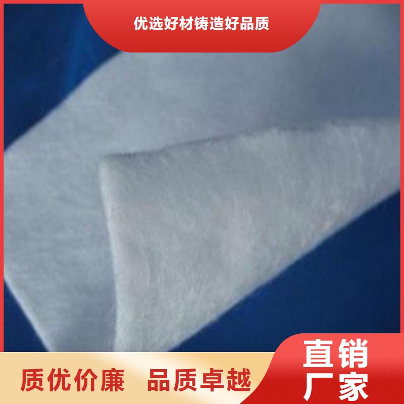 土工布,【凸结点钢塑土工格栅】源头厂家量大价优