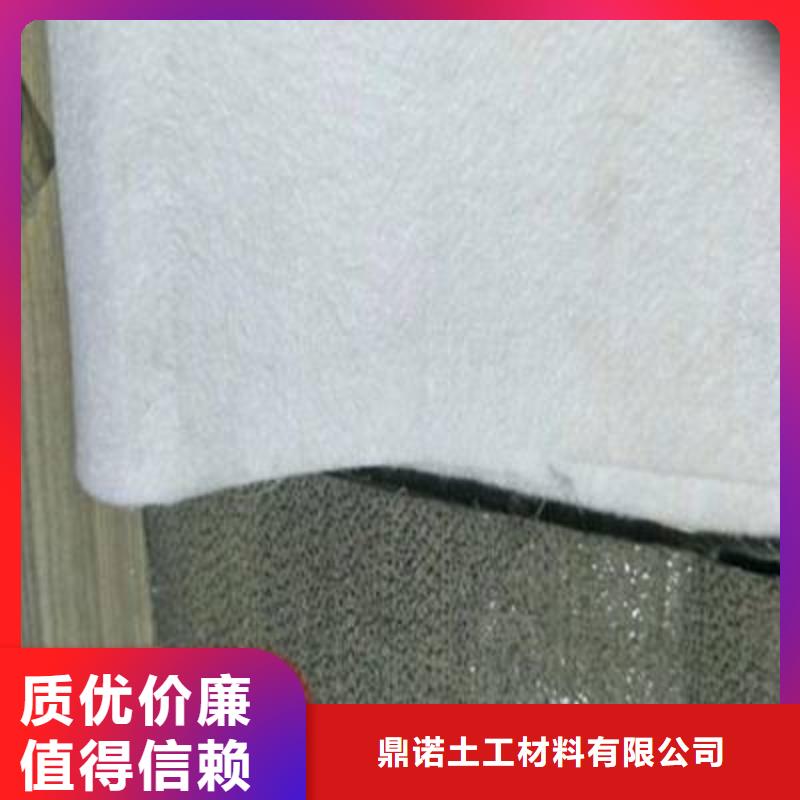 临高县垃圾填埋场专用土工布~