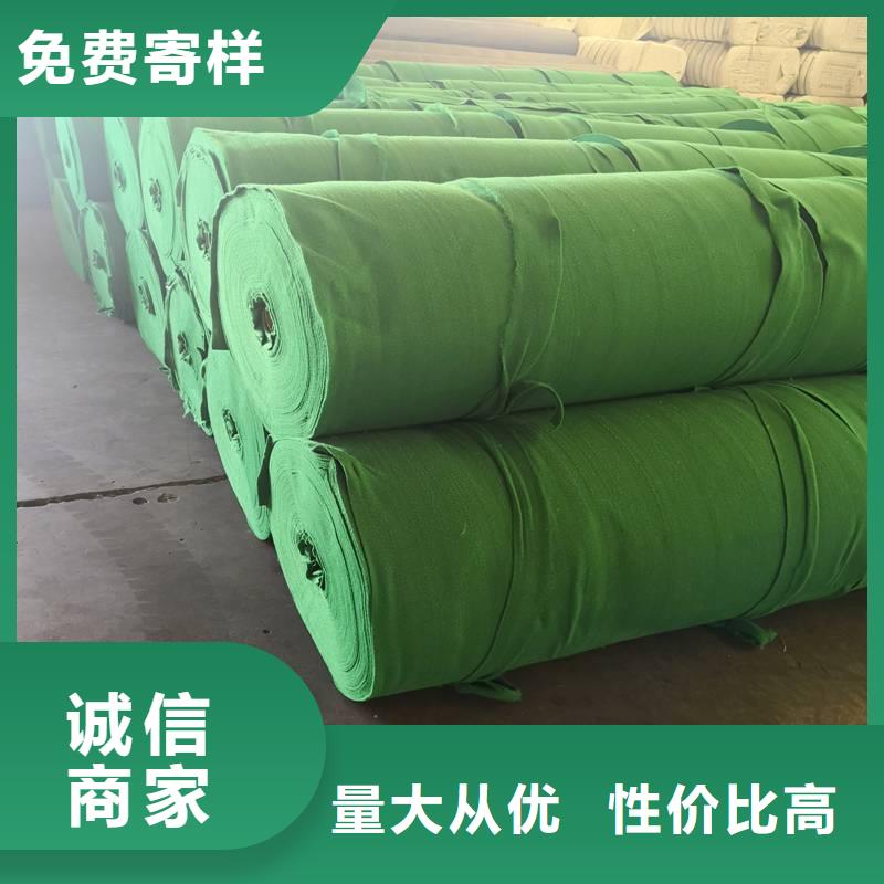 【土工布】_三维复合排水网一站式厂家