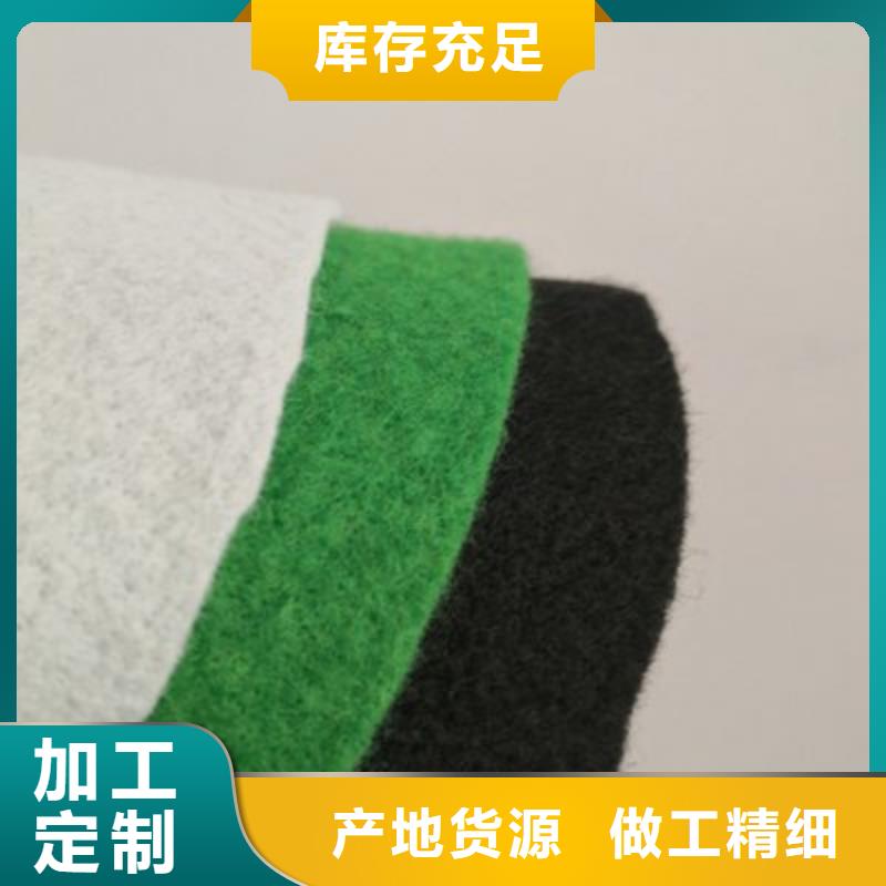 土工布钢塑土工格栅一周内发货