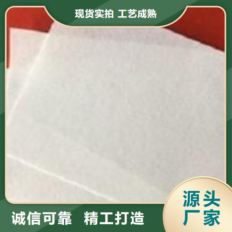 防渗土工布丙纶高强土工布无纺土工布厂家两布一膜