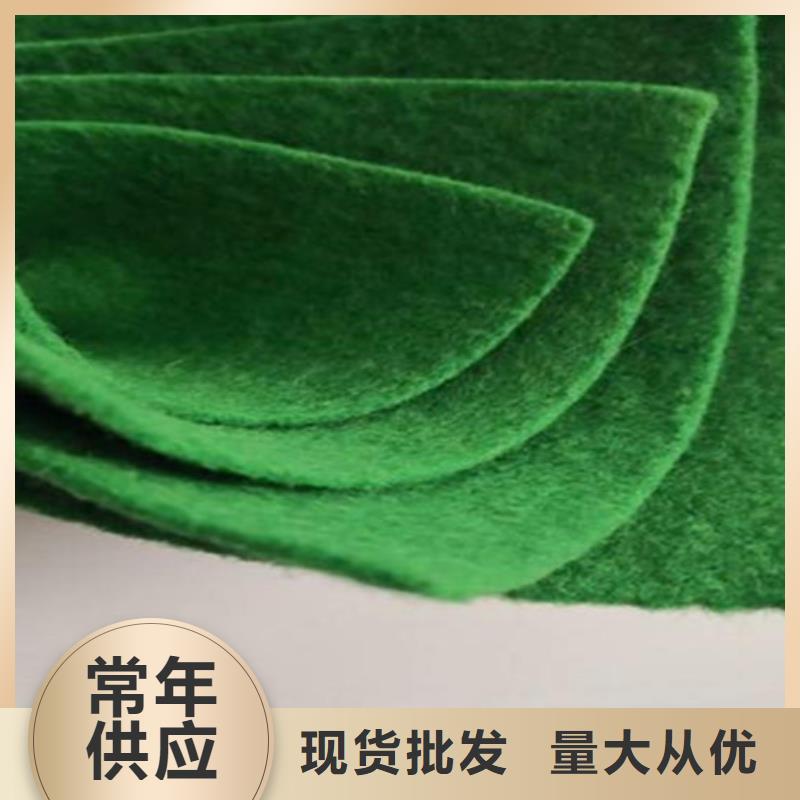 聚酯长丝布今日行情长丝布生产厂家