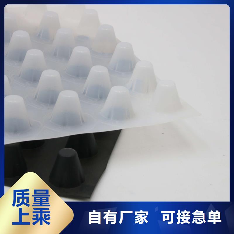 2cm屋顶绿化用排水板凹凸型塑料排水板价格