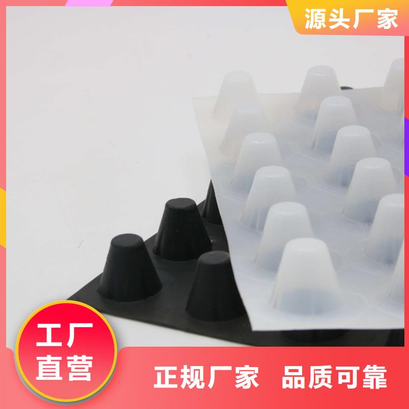 蓄排水板_膨润土防水垫实拍展现