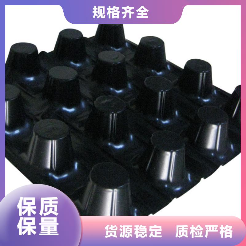 2cm屋顶绿化用排水板凹凸型塑料排水板价格