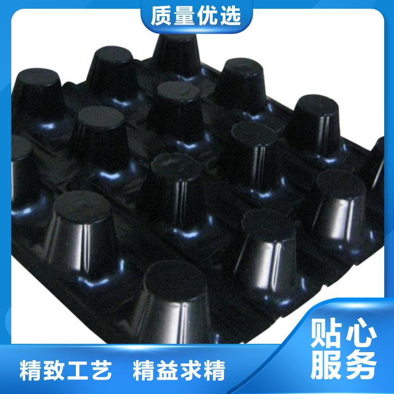 蓄排水板三维植被网发货迅速