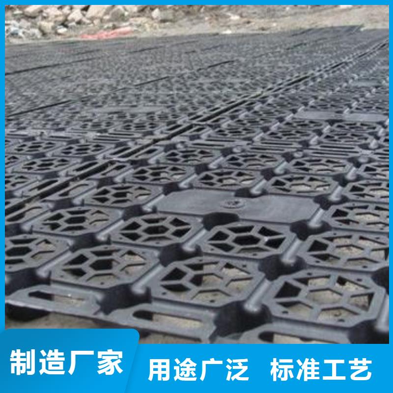 蓄排水板,单向塑料土工格栅现货充足量大优惠