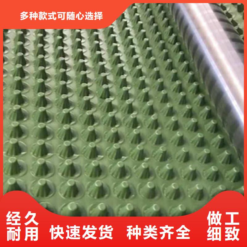 2cm屋顶绿化用排水板凹凸型塑料排水板价格