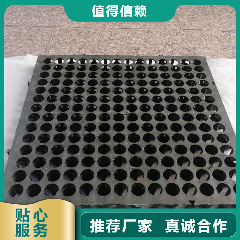 蓄排水板-PP焊接土工格栅优良材质