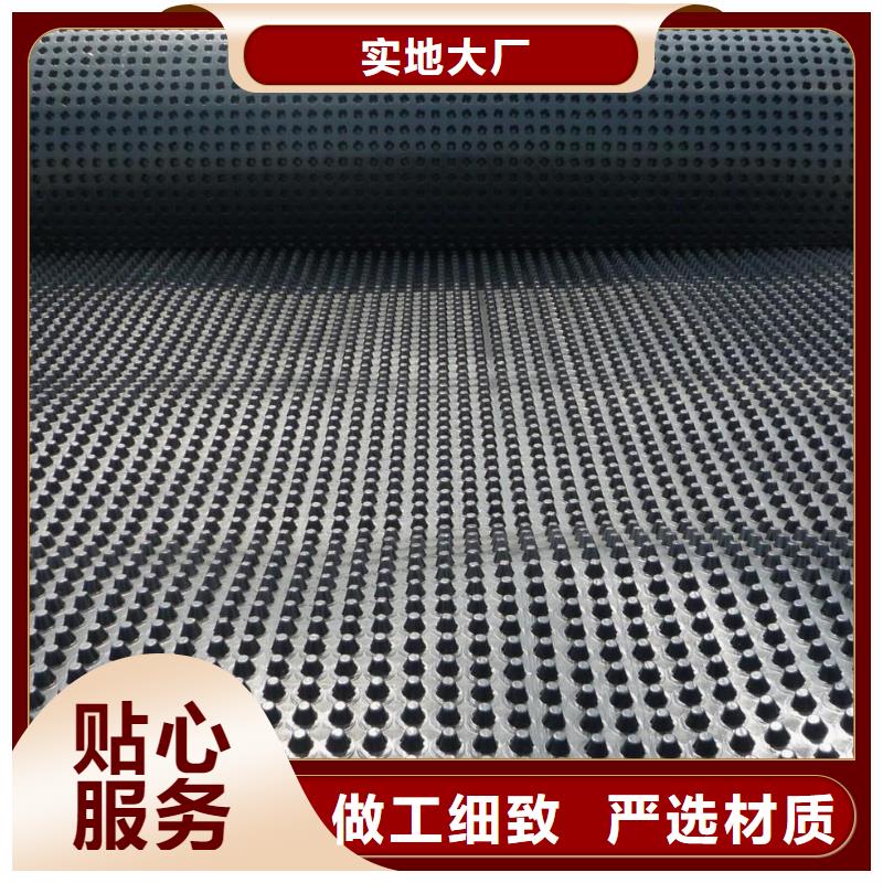 2cm屋顶绿化用排水板凹凸型塑料排水板价格