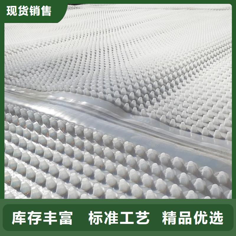 蓄排水板_毛细排水板拒绝中间商