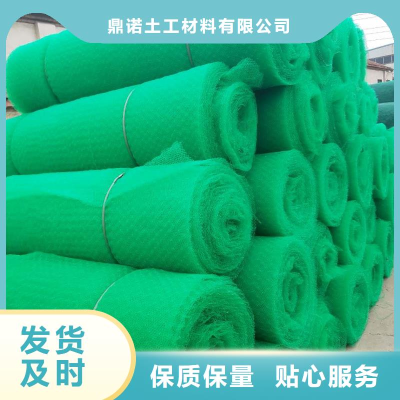 琼中县三维土工网垫生产|2025三维植被网