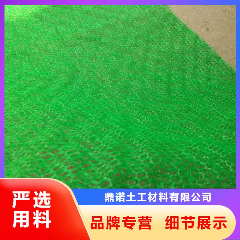 三维植被网-三维土工网垫厂家