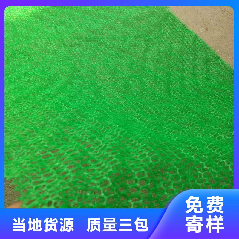 EM3三维植被网价格便宜|植草固土用EM2三维植被网EM5三维网厂家供应-亿路通新材料