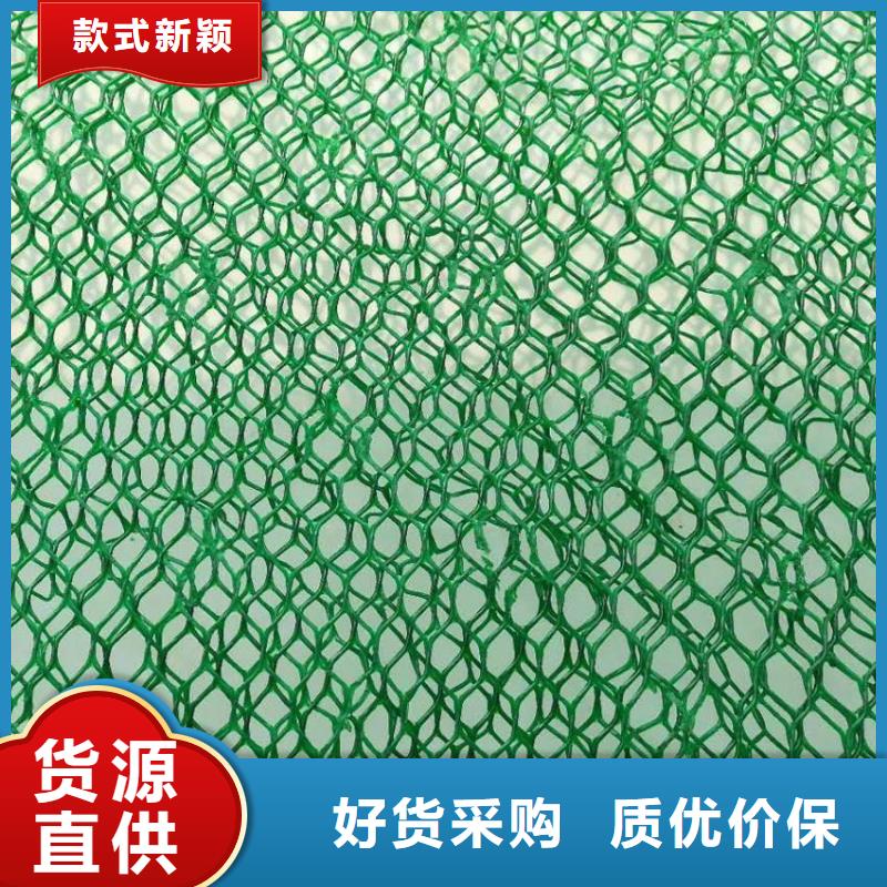 EM3三维植被网价格便宜|植草固土用EM2三维植被网EM5三维网厂家供应-亿路通新材料