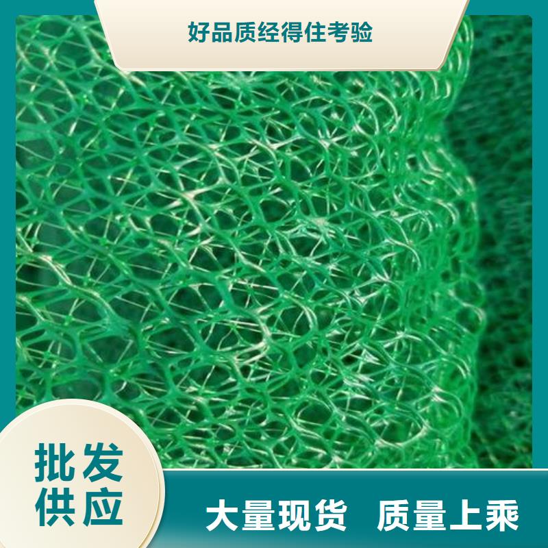 陵水县三维植被网-三维土工网垫厂家