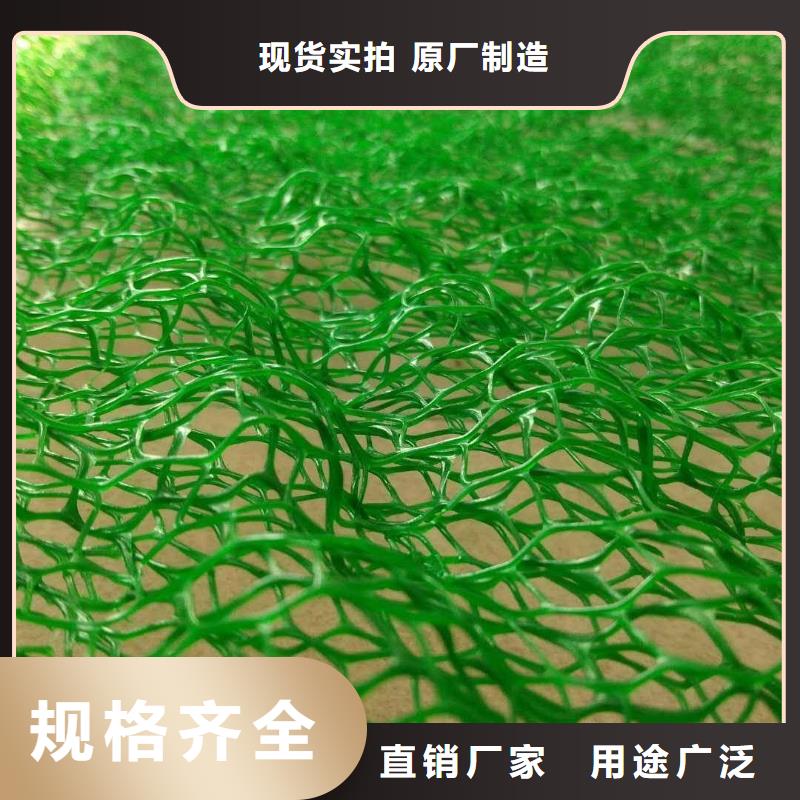 山坡复绿土工网垫