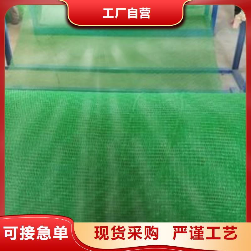 植草固土绿化三维护坡网价格