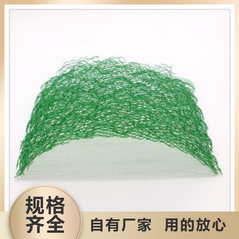 EM3三维植被网价格便宜|植草固土用EM2三维植被网EM5三维网厂家供应-亿路通新材料