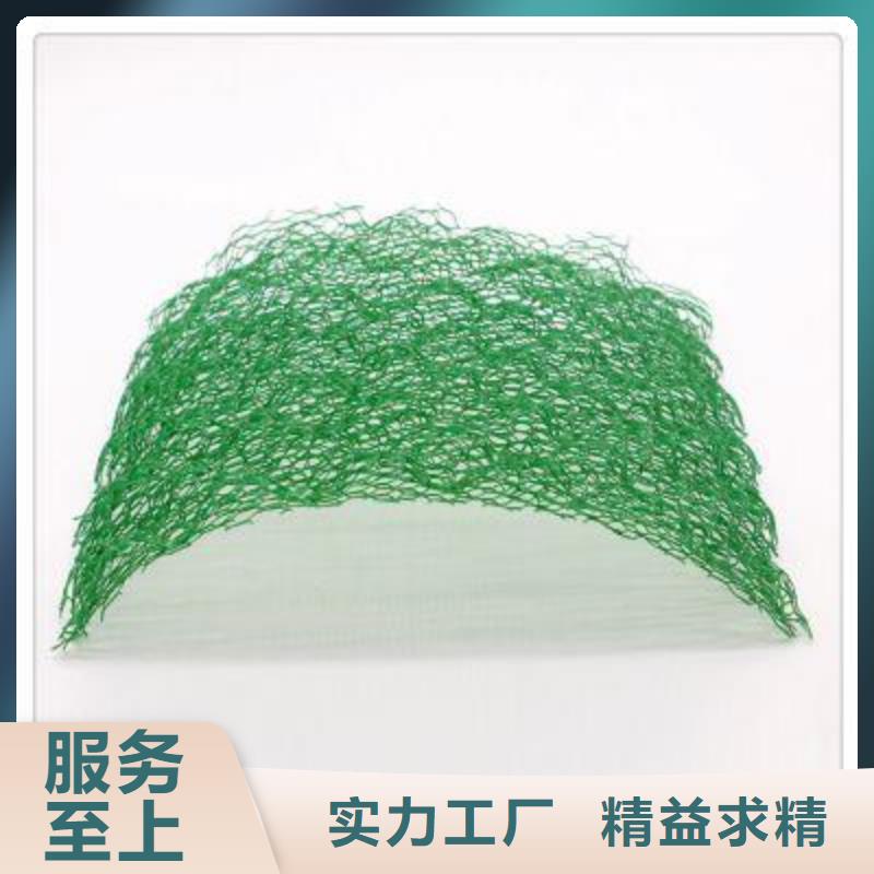 三维植被网厂家-边坡防护三维植被网-绿化植草网固土耐腐蚀